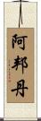 Abundane Scroll