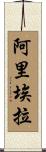 Ariela Scroll
