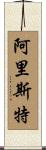 Arist Scroll