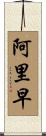 阿里早 Scroll