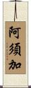 阿須加 Scroll