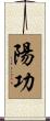 陽功 Scroll