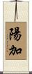 陽加 Scroll