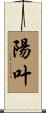 陽叶 Scroll