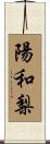陽和梨 Scroll