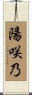 陽咲乃 Scroll
