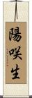 陽咲生 Scroll