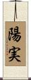 陽実 Scroll