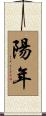 陽年 Scroll