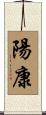 陽康 Scroll