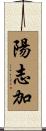 陽志加 Scroll