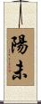 陽未 Scroll
