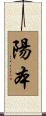 陽本 Scroll