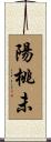 陽桃未 Scroll