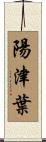陽津葉 Scroll