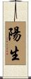 陽生 Scroll