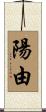 陽由 Scroll