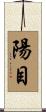 陽目 Scroll