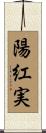 陽紅実 Scroll