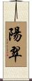 陽翠 Scroll
