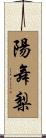 陽舞梨 Scroll