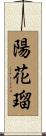 陽花瑠 Scroll