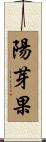 陽芽果 Scroll