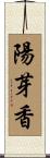陽芽香 Scroll