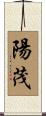 陽茂 Scroll