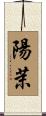 陽茉 Scroll