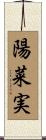 陽菜実 Scroll