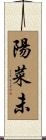陽菜未 Scroll