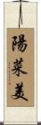 陽菜美 Scroll
