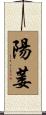 陽萎 Scroll
