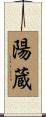 陽蔵 Scroll