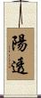 陽透 Scroll