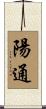 陽通 Scroll