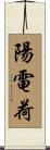 陽電荷 Scroll