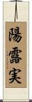陽露実 Scroll
