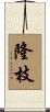 隆枝 Scroll