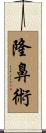 隆鼻術 Scroll