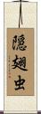 隠翅虫 Scroll