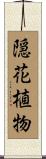 隠花植物 Scroll