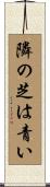 隣の芝は青い Scroll