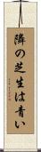 隣の芝生は青い Scroll