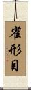 雀形目 Scroll