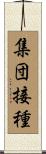 集団接種 Scroll