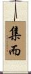 集而 Scroll