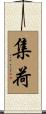 集荷 Scroll
