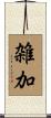 雑加 Scroll